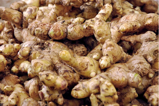 怎么炖羊肉好吃，怎样做羊肉好吃（4种香料让羊肉不腥不膻）