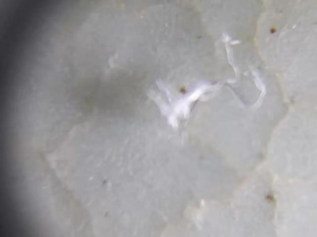 真正的北宋汝窑真品，这般颜色做将来的论断