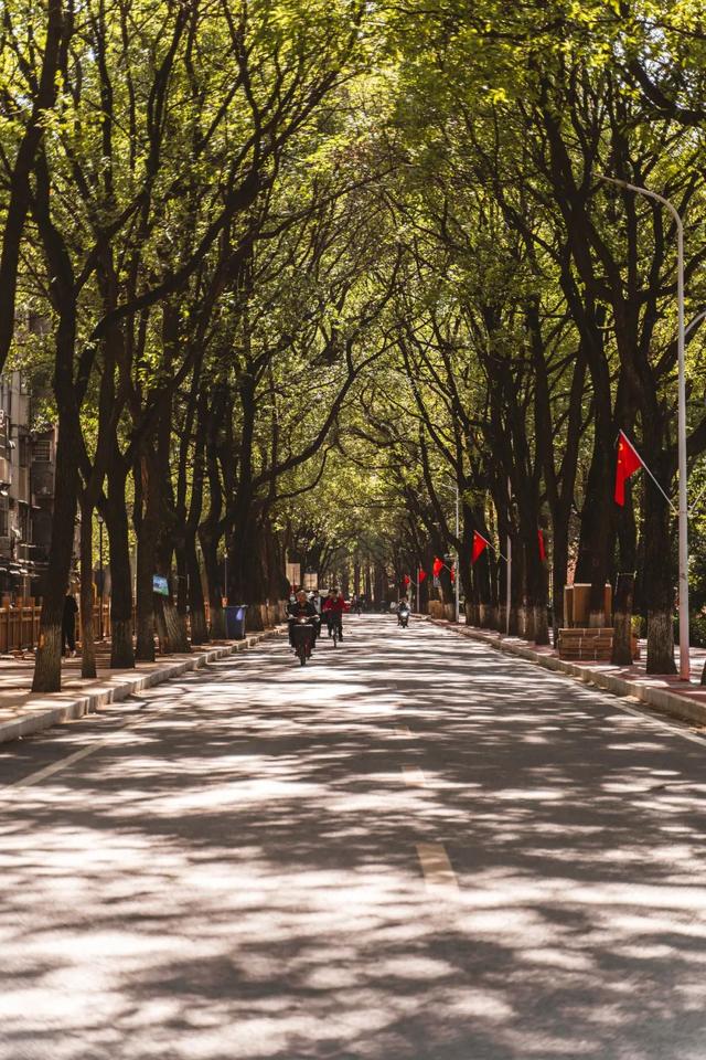 湖北大学怎么样，湖北大学怎么样?就业前景（湖北大学，为什么这么牛）
