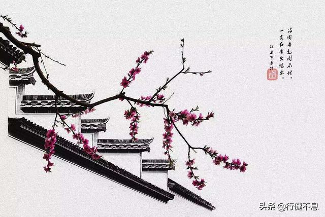 有关杏花的诗句，关于杏花的诗句有哪些（一枝红杏出墙来）