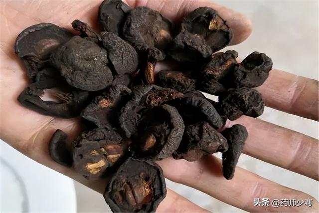 炒山楂的功效与作用，山楂粉的功效和作用（<净、炒、焦、炭>有什么不同）