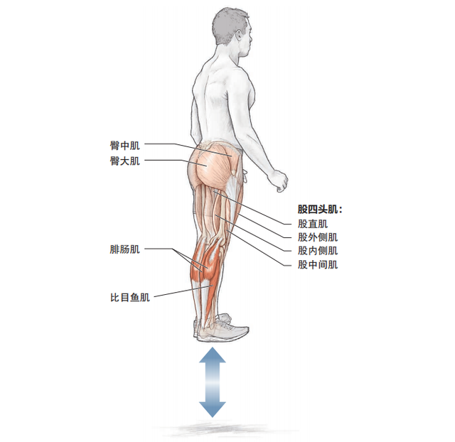 如何提高跑步速度，如何快速提高跑步速度（推荐快速提升跑步配速的6个基础训练动作）