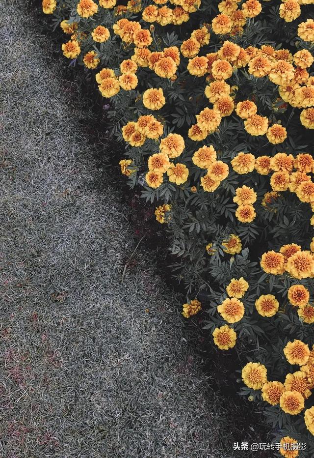 什么情况下拍照用HDR模式，拍照中的hdr是什么模式（你想不到的公园拍照技巧）