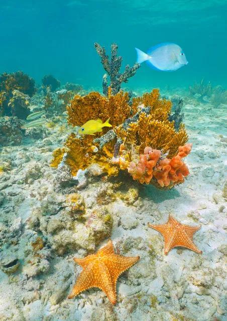 印尼群岛旅游攻略，令人尖叫的碧海蓝天-印尼海岛勿里洞岛二日游