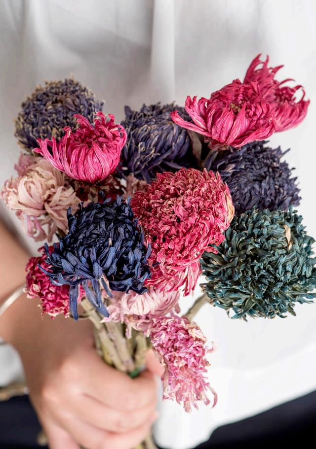 鲜花怎样保鲜时间更长一点呢，鲜花怎样做成干花（把鲜花的美丽永远留住——干燥花的基本制作方法）