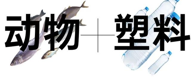 蜜蜂从地球上消失了会怎样，如果蜜蜂从地球上消失,人类将只能再存活四年（没有想法时，怎样突破重围的）