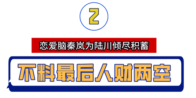 苏有朋和秦岚一起演的电视剧叫什么名字，苏有朋和秦岚的电视剧有哪些（“隐形富婆”秦岚）
