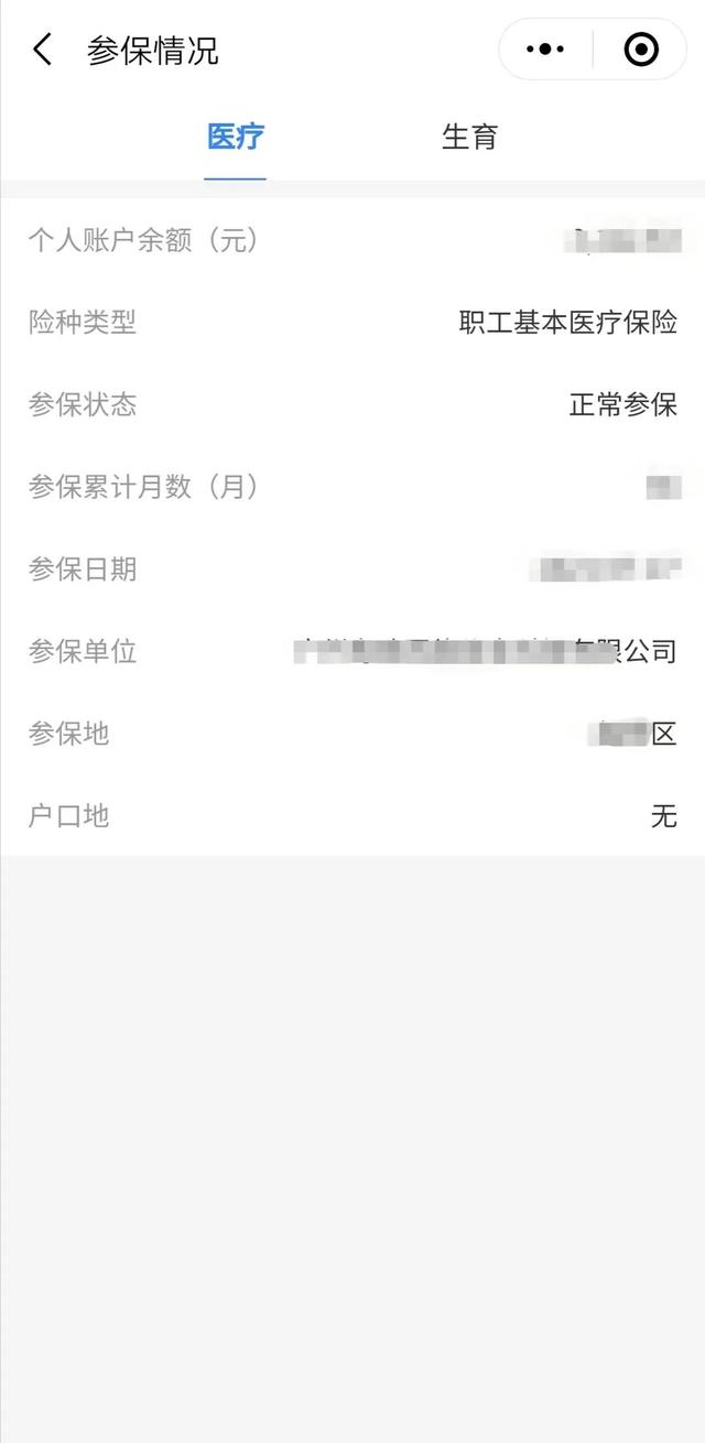 医保查询个人账户明细，怎么查询医保卡个人账户明细（如何在线查询医保参保信息、缴费记录和使用明细）
