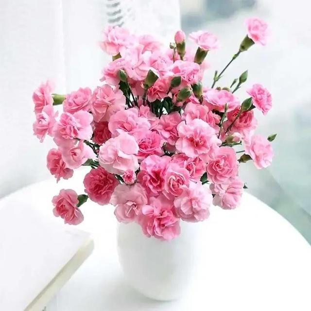 什么花的花语是默默守护的爱，花语是默默守护的花（每种花都有它的花语）