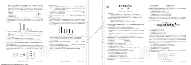 2022金太阳联考成绩查询系统入口，2022高考成绩查询系统入口官网（<22-22-192C>12.21-22）