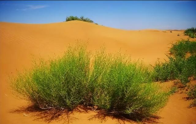 世界十大沙漠排名，最大的沙漠（沙漠面积比海南岛还大）