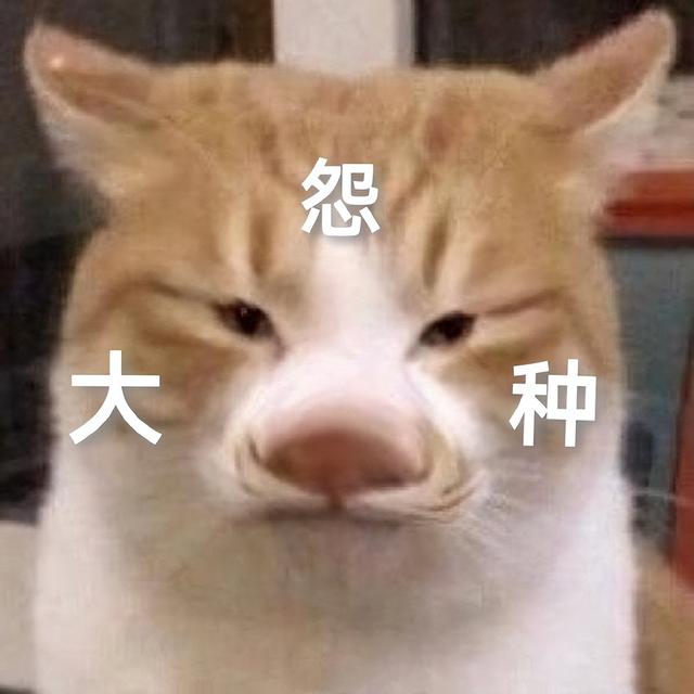 可达鸭是什么梗，可达鸭是什么梗图片（2022年近期热梗）