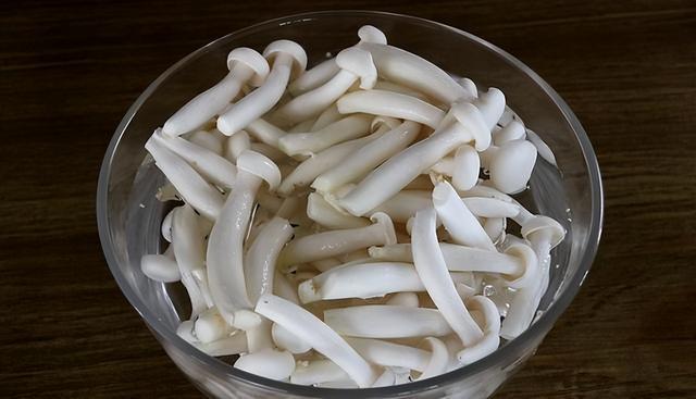 蘑菇有哪些，可以食用的蘑菇有哪些（秋季要多吃蘑菇）