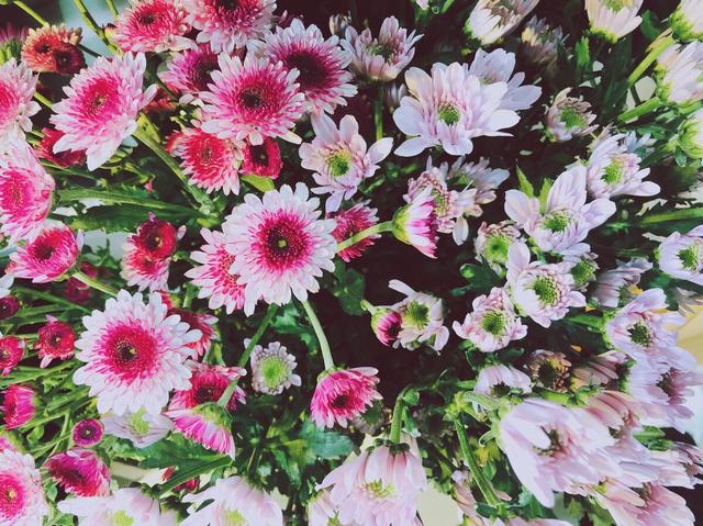 想念一个人的说说，想念一个人的说说伤感（一叶知秋）