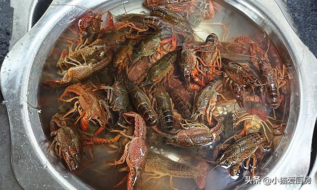 小龙虾的做法大全 蒜蓉小龙虾六步做法，小龙虾的做法大全（就是汤汁拌饭也特别香）