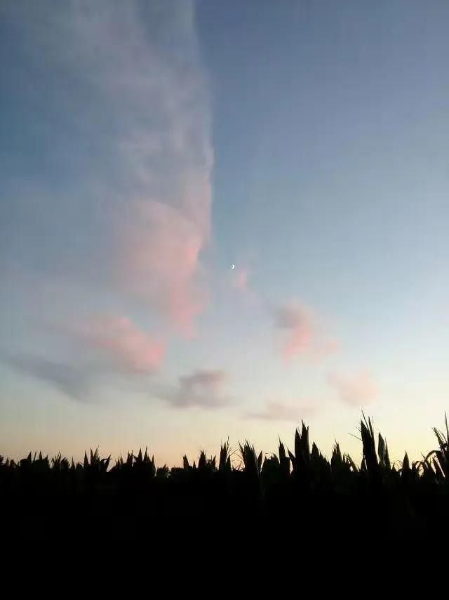 退货包运费是谁出运费，退货包运费是谁出运费京东（包！运费！到底什么是运费）