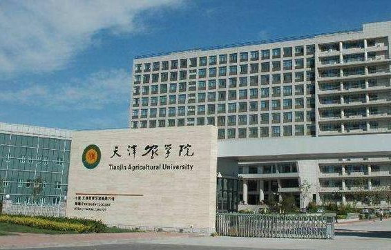 天津商业大学宝德学院怎么样，天津商业大学宝德学院专业排名（天津市19所大学招生哪些艺术类专业）