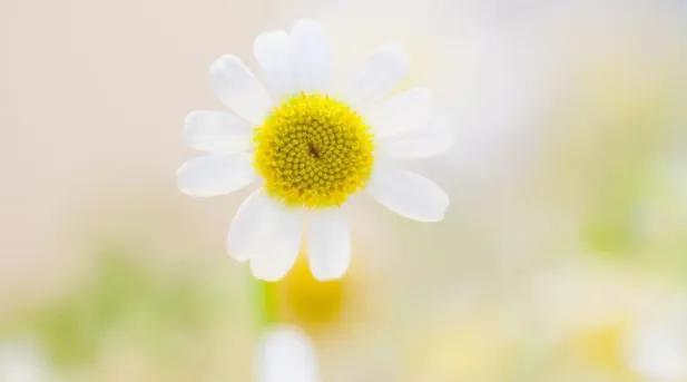 安慰别人一切都会好起来的句子，安慰别人一切都会好起来的句子一篇作文（自己安慰自己的治愈文案）