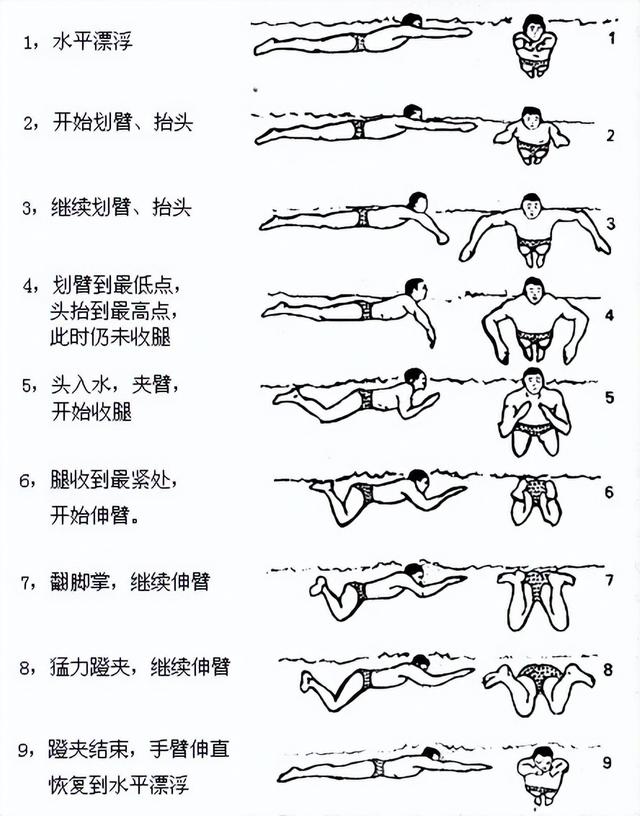 蛙泳初学者的步骤和方法，初学蛙泳的具体步骤（轻轻松松学蛙泳—史上最全图文教程）