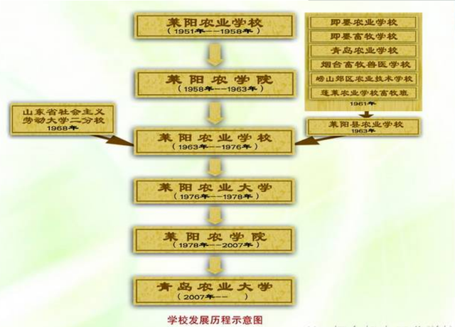 青岛农业大学排名，青岛农业大学排名2022最新排名（搬到青岛后名气反而下降）