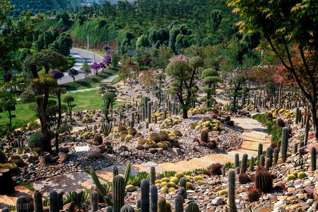 弥勒市属于哪个市，弥勒是云南的那个地方（凭啥成为云南旅居城市的天花板）