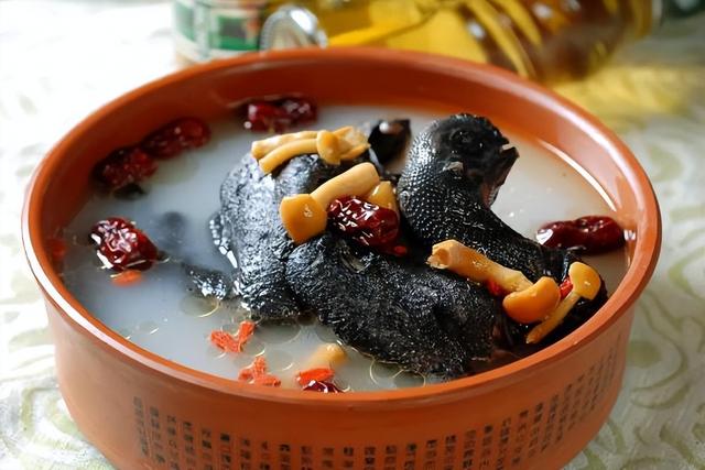 老母鸡怎么炖才能烂，怎样炖老母鸡能炖的烂一点（白醋是鸡肉的“克星”）