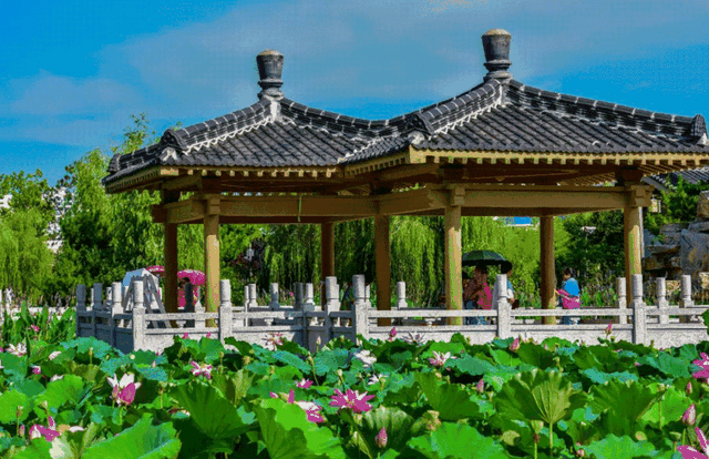 山东威海旅游景点，山东威海风景区（这些好看的好玩的好嗨的…统统给你）