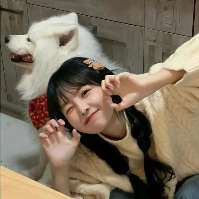 满天星，微信头像，满天星（微信头像拿走不谢）