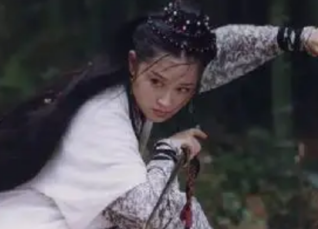 笑傲江湖之日月神教，金庸小说武当派还有什么（日月神教为何要盗武当2大秘籍）