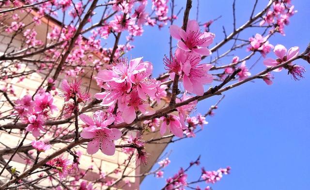 思念远方爱人的句子唯美，牵挂思念远方爱人的唯美句子（寄给远方的爱人：立春）
