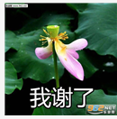 微信头像｜精选朋友圈优质头像，精选优质微信头像大全（头像 ， 朋友圈里最靓的头像）