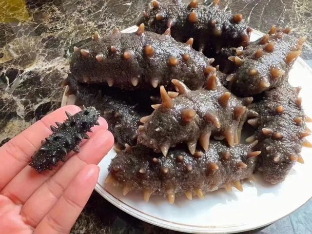 怎样鉴别海参的好坏，海参的好坏如何鉴别（专家：买前多看这6个细节）
