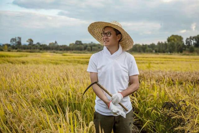 王子文资料简介及照片，王子文资料（至今不娶妻的10位内地大龄男星）