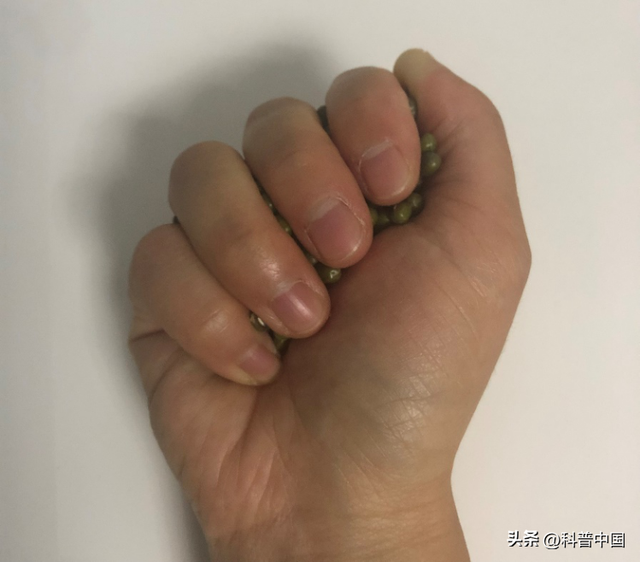 长期不吃主食会有什么危害吗，长期不吃主食会怎么样有危害吗（不吃主食的9个“副作用”）