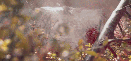 左耳电影剧情介绍，电影左耳剧情介绍（满屏都是“情欲”的撩拨）