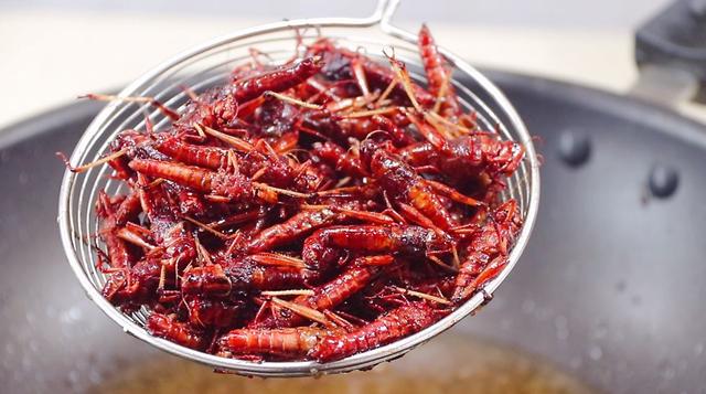 蚂蚱怎么做好吃（吃牛羊肉不如多吃这虫子）