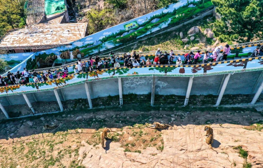 荣成风景区有哪些，荣成周边景点（来荣成这些打卡景区景点采撷好春光）