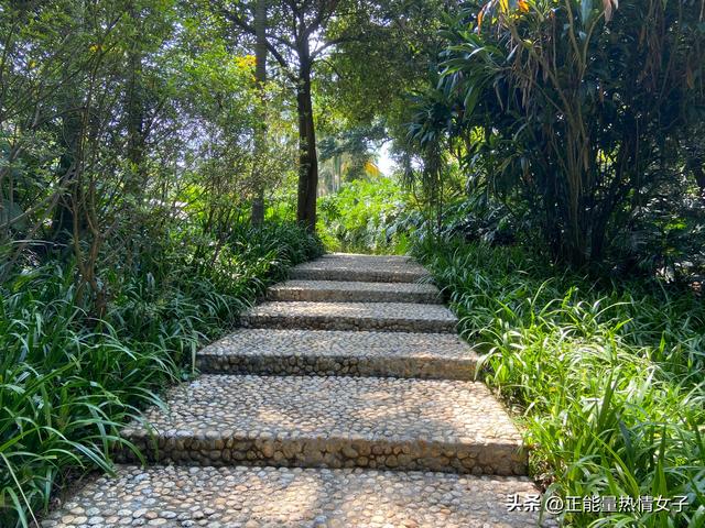 韶关丹霞山旅游攻略，韶关丹霞山旅游攻略 丹霞山好玩吗（黄飞鸿的故乡西樵山一日游游玩攻略）