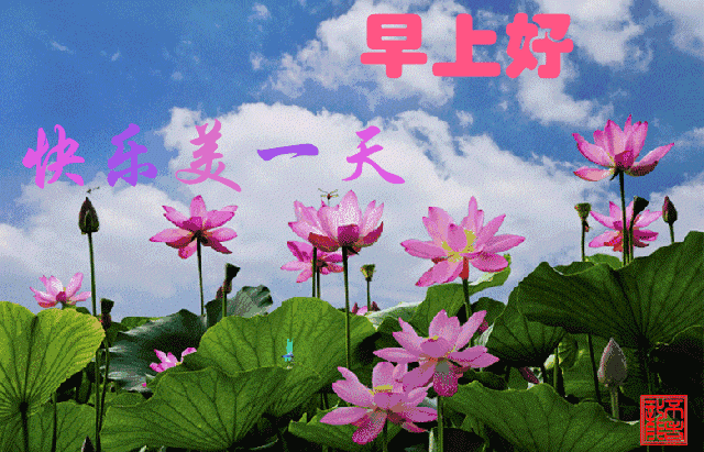 正能量早安问候语，简短正能量早安问候语（早安心语，正能量经典说说句子）