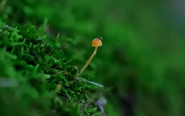 汛期是几月到几月，防汛是每年的几月到几月（2023年的雨季大约在几月份来临）