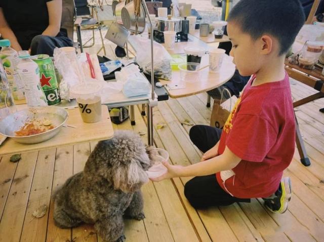 梅婷鄢颇有孩子吗，9岁女儿继承其美貌