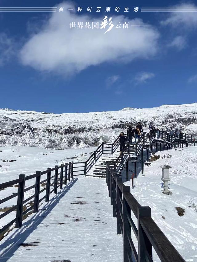 滇中第一山轿子雪山，轿子山雪山（世界花园彩云南丨轿子雪山）