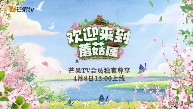 有哪些优秀的韩国综艺，这20个综艺把我们的一生安排得明明白白