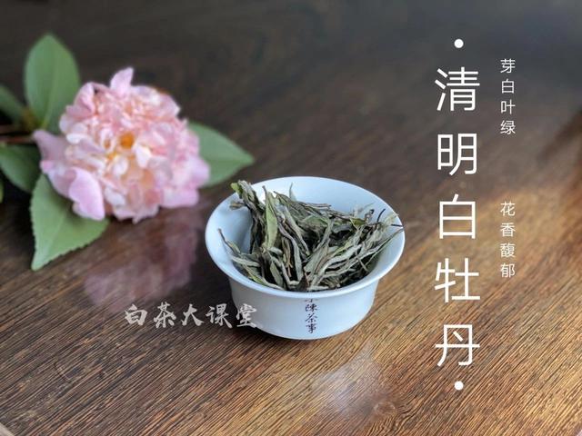 白茶属于哪类茶（从六大茶类角度来看）