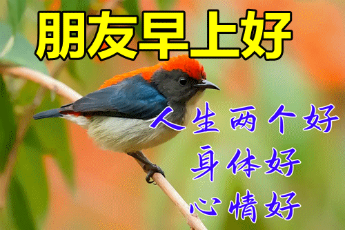 春天问候祝福语大全，春天问候语的祝福语（2022春天最新漂亮早上好问候图片）