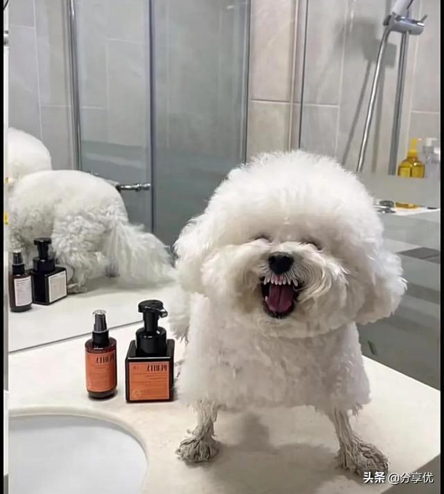 恶搞趣味背景图，背景图片恶搞（小众 搞笑朋友圈背景图）