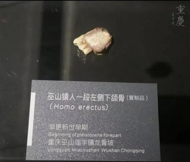 杨贤江的名言，杨贤江的名言青年的懒（中国大地教育的起源）