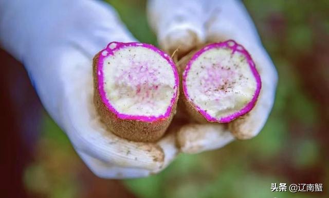 广州南沙有什么景点，广州南沙有什么景点值得去（6景必看9美食必吃）