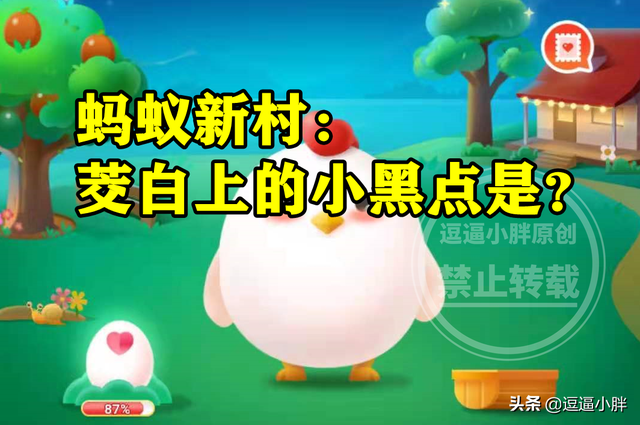 茭白有黑点能吃吗，茭白里面有黑色的小点能吃吗（蚂蚁新村茭白上的小黑点答案）