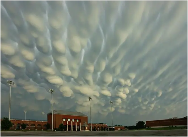 最恐怖的云，最恐怖的动物（河南出现神秘“糙面云”）